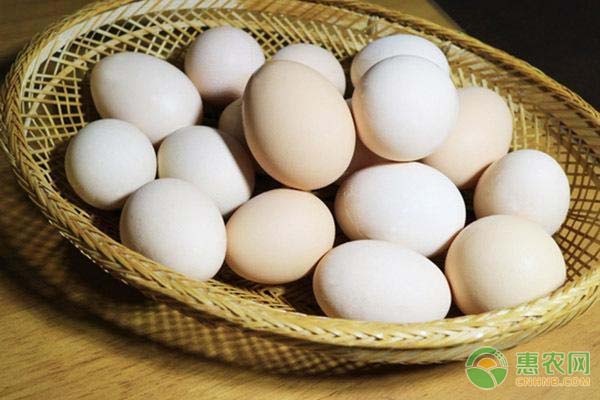 鸡蛋最新价格多少钱一斤？附行情走势分析