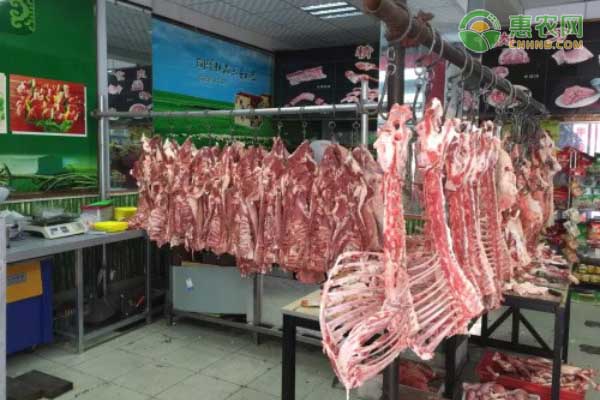 2020年8月全国羊肉价格最新行情