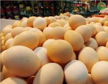 鸡蛋价格还会上涨吗？