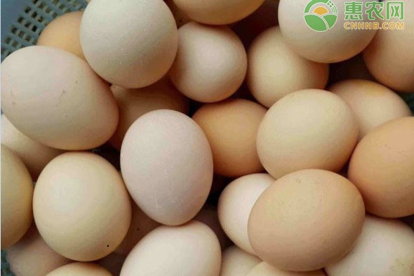 鸡蛋价格上涨近20%！国庆节的鸡蛋行情走势是怎样？