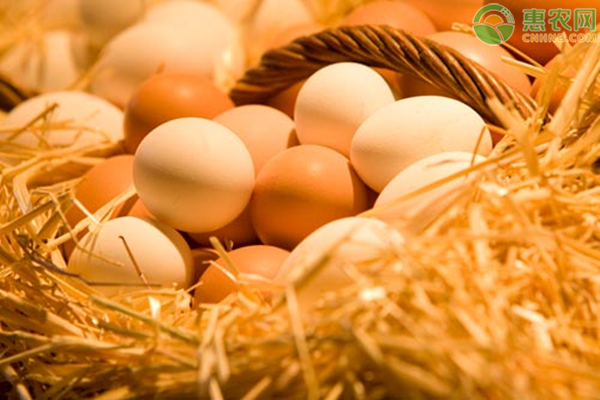当前鸡蛋价格多少钱一斤？为何鸡蛋价格会下跌？