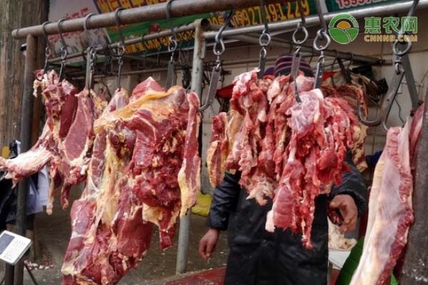 2020年10月羊肉价格行情预测