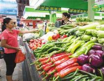 蔬菜价格涨跌幅度较大是怎么回事？
