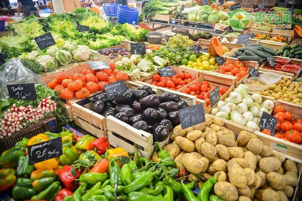 蔬菜价格涨跌幅度较大，后期走势如何？