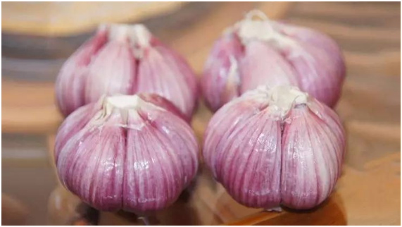 紫皮大蒜和白皮大蒜有什么区别