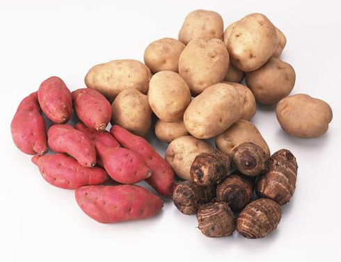 芋头和红薯的区别是什么 芋头高产栽培技术
