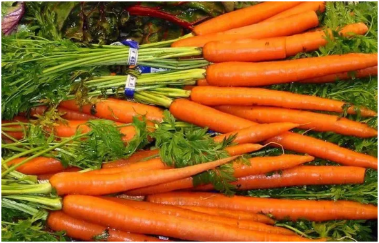 胡萝卜怎么留种子 胡萝卜如何栽培