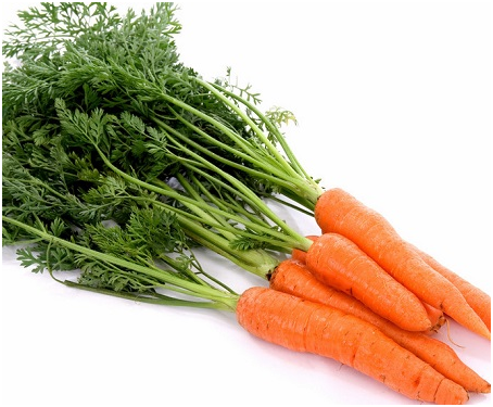 胡萝卜抽薹和分杈的原因和预防措施