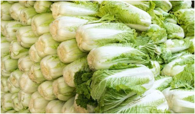 大白菜怎么储存 冬季大白菜的储存方法