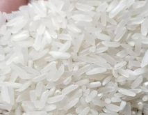 广西好稻米十大优质品种