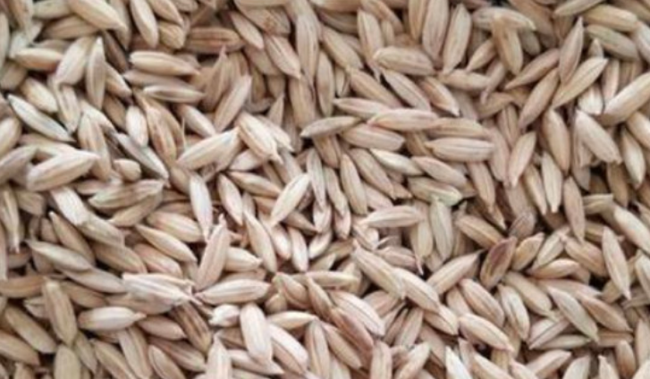 陕西省水稻种植品种推荐