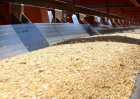 6月豆粕最新价格多少钱一斤？
